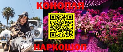 прущие грибы Бийск