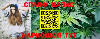 прущие грибы Бийск